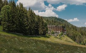 Das Kronthaler - Adults Only